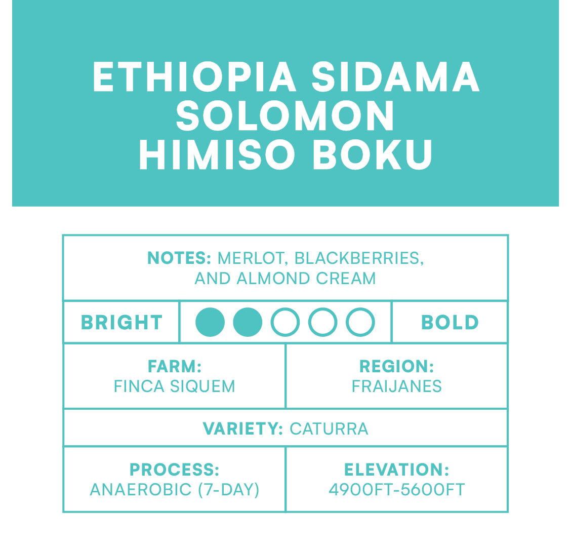 Ethiopia Sidama Solomon Hamiso Boku