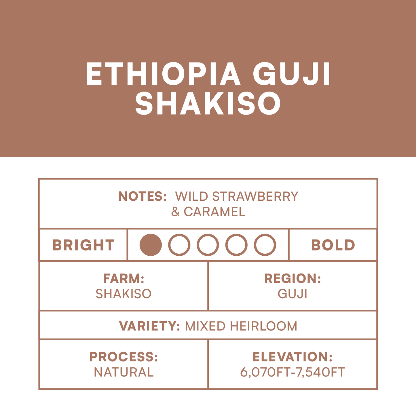 Ethiopia Guji Shakiso