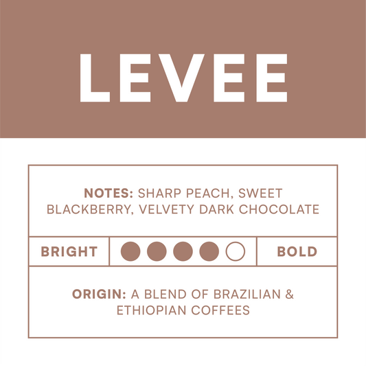 Levee
