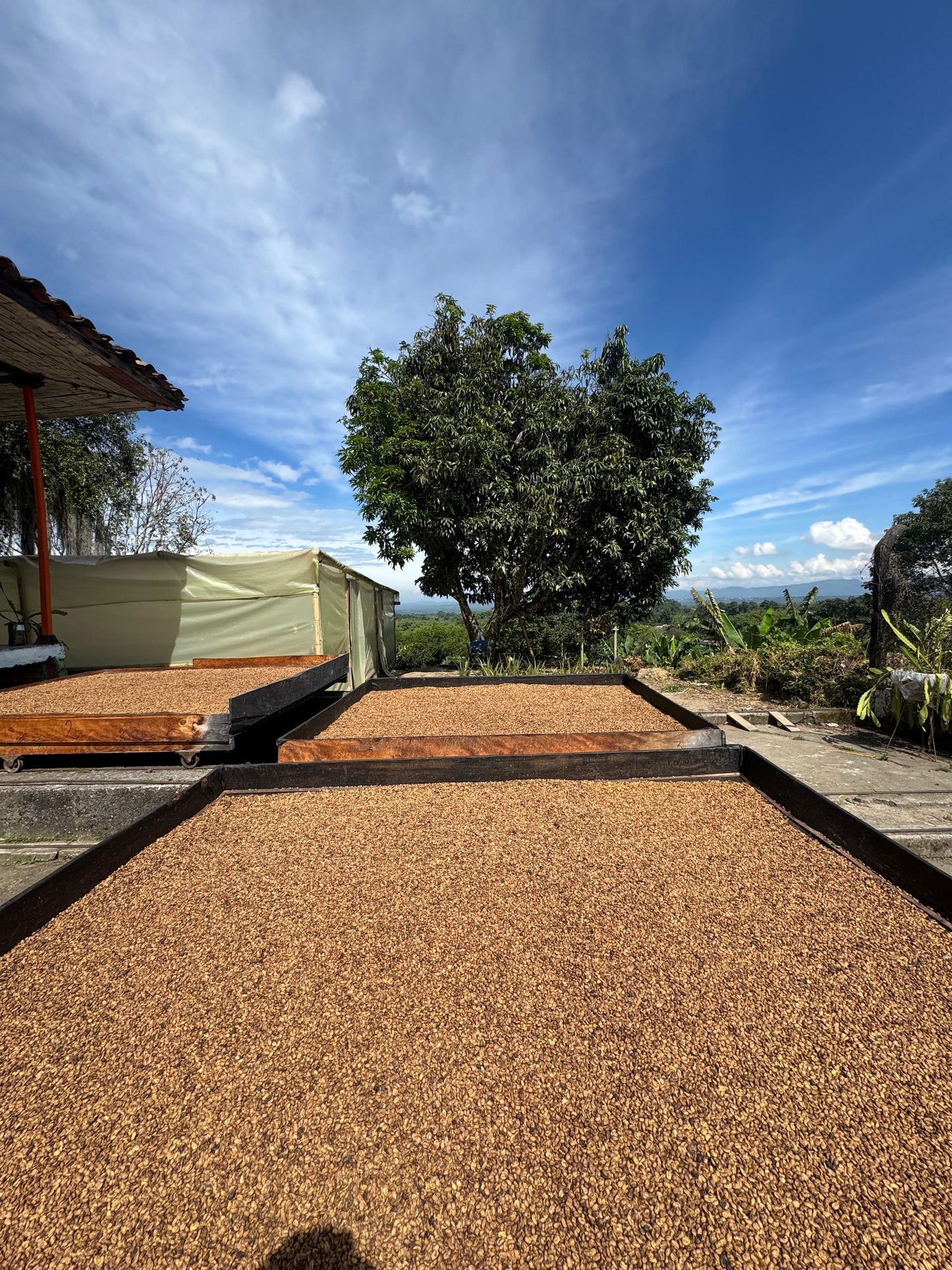 Colombia Quindio Juan Puerta