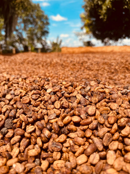 Colombia Quindio Juan Puerta