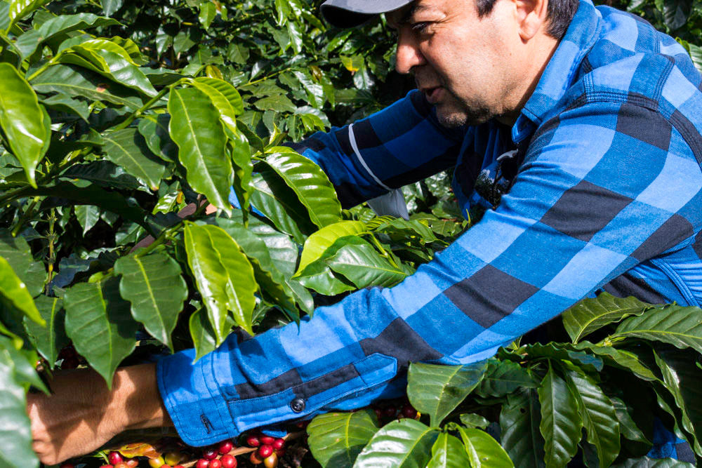 Guatemala Fraijanes Carlos Roldán