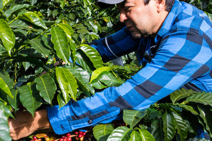 Guatemala Fraijanes Carlos Roldán