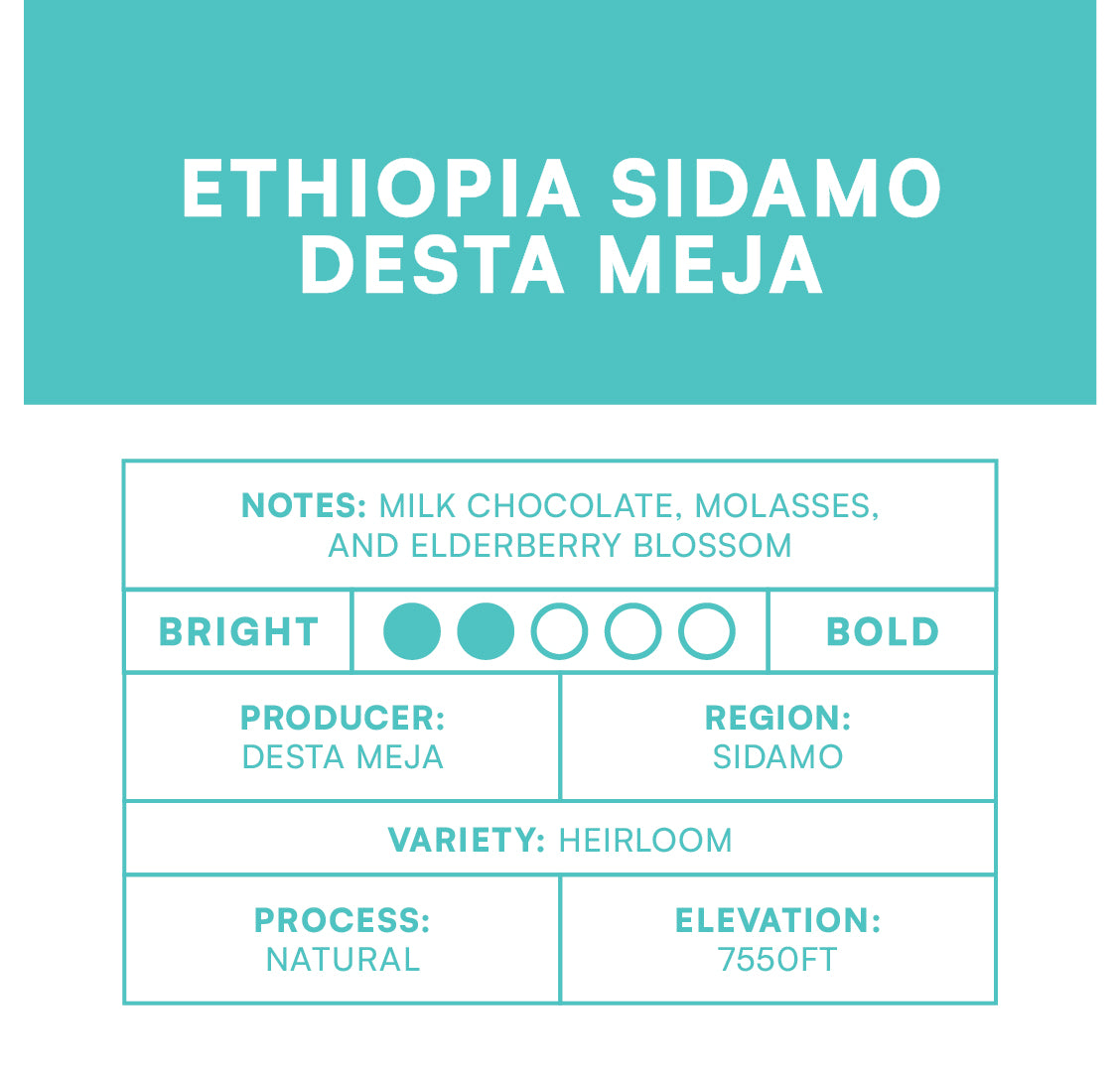 Ethiopia Sidamo Desta Meja