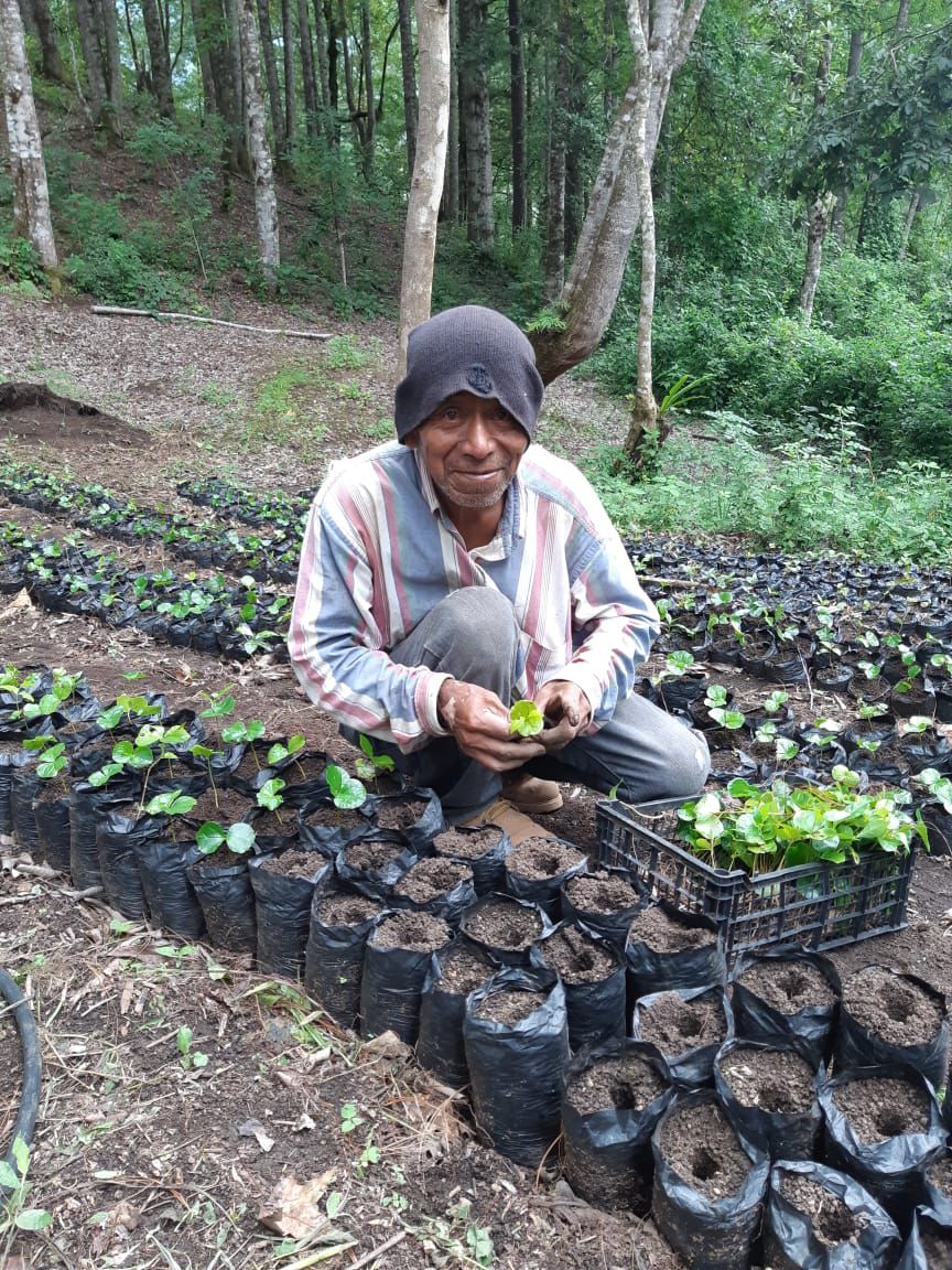Honduras Morazan Alexia Mejia