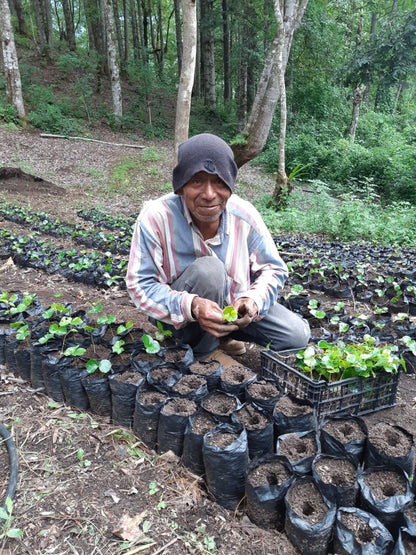 Honduras Morazan Alexia Mejia