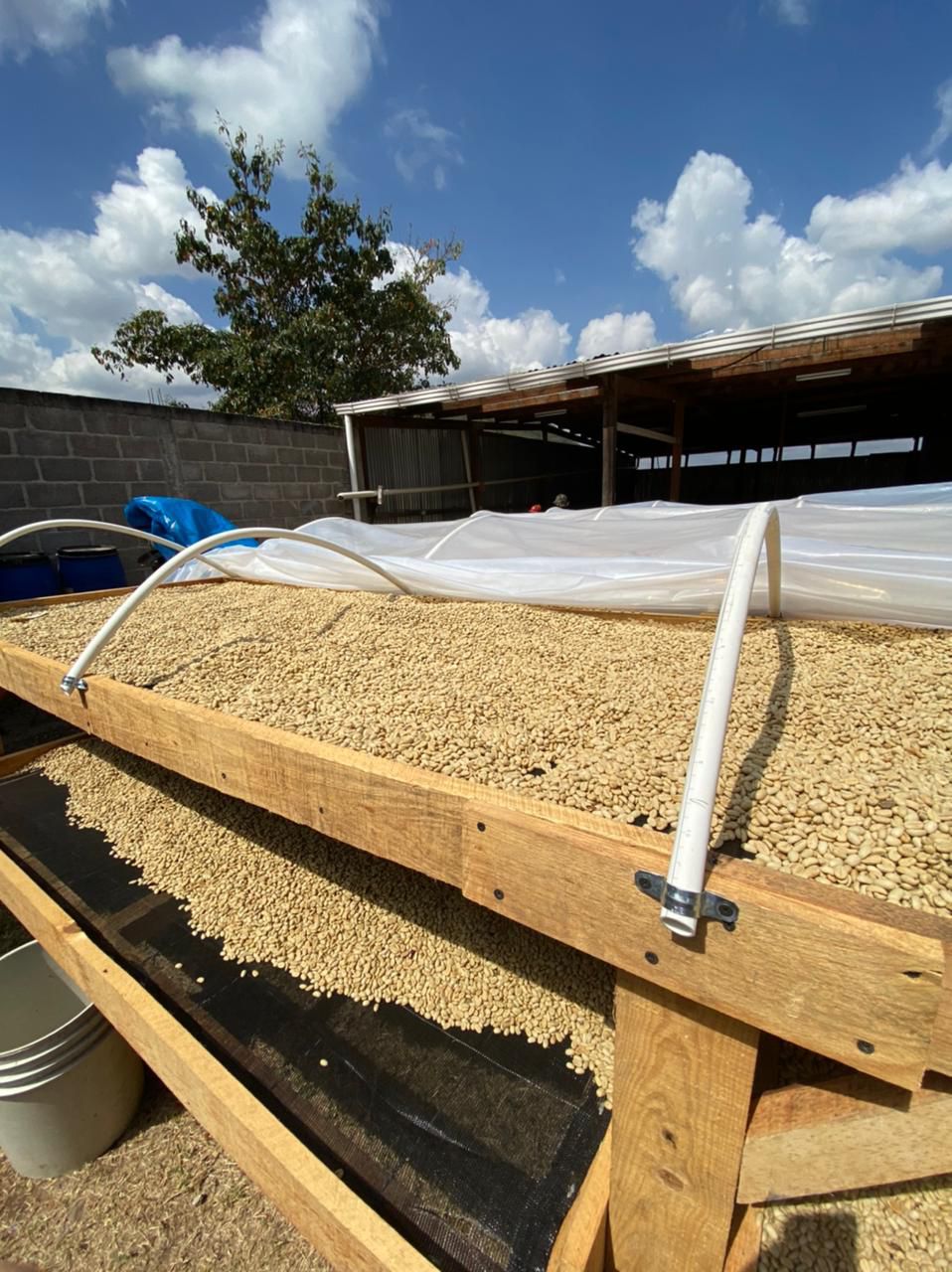 Honduras Morazan Alexia Mejia