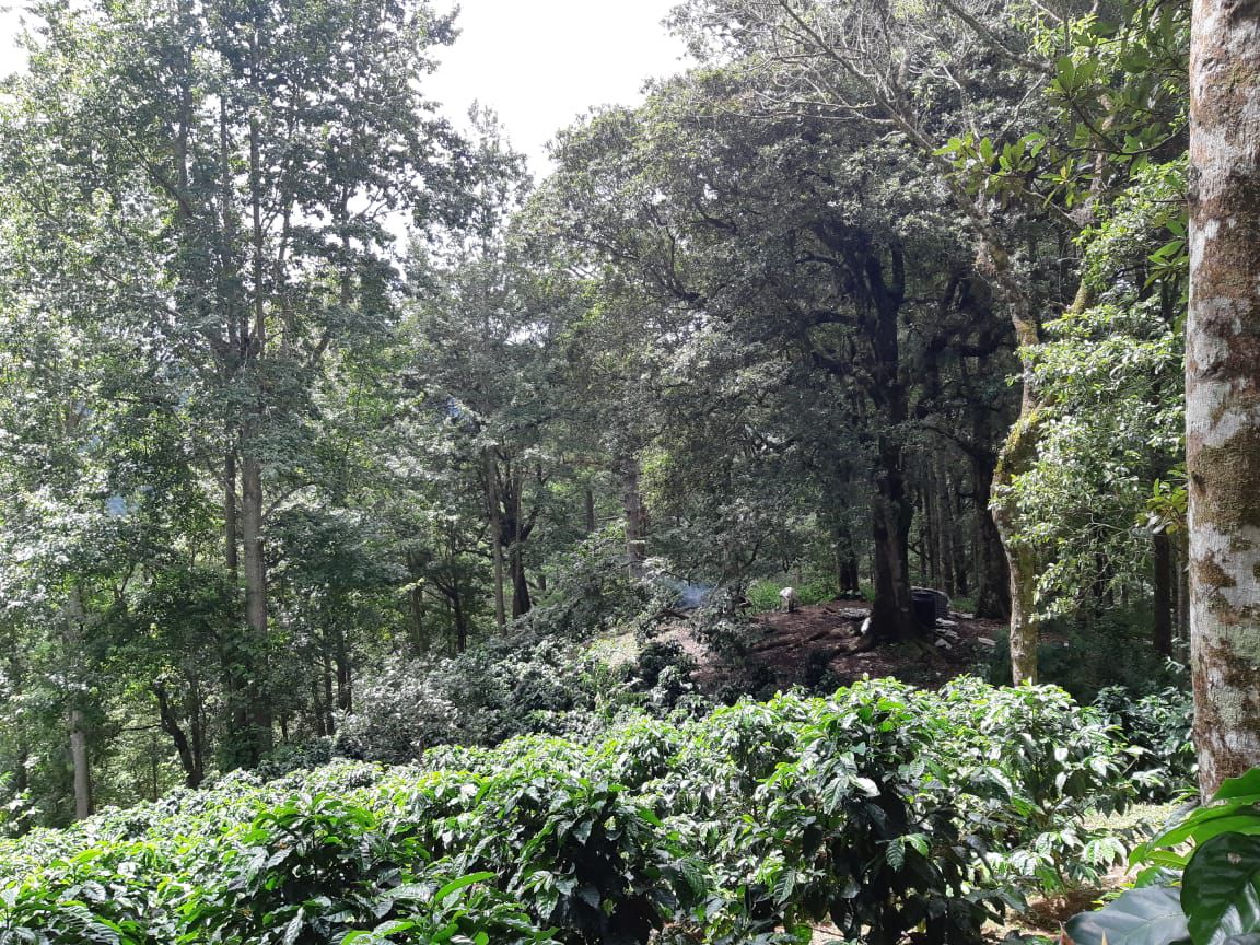 Honduras Morazan Alexia Mejia