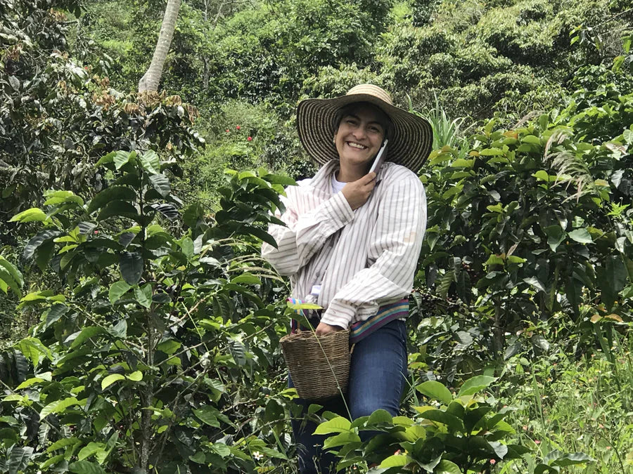 Colombia Manziales Tio Conejo