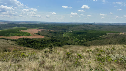 Brazil Cerrado Mineiro Rodomunho