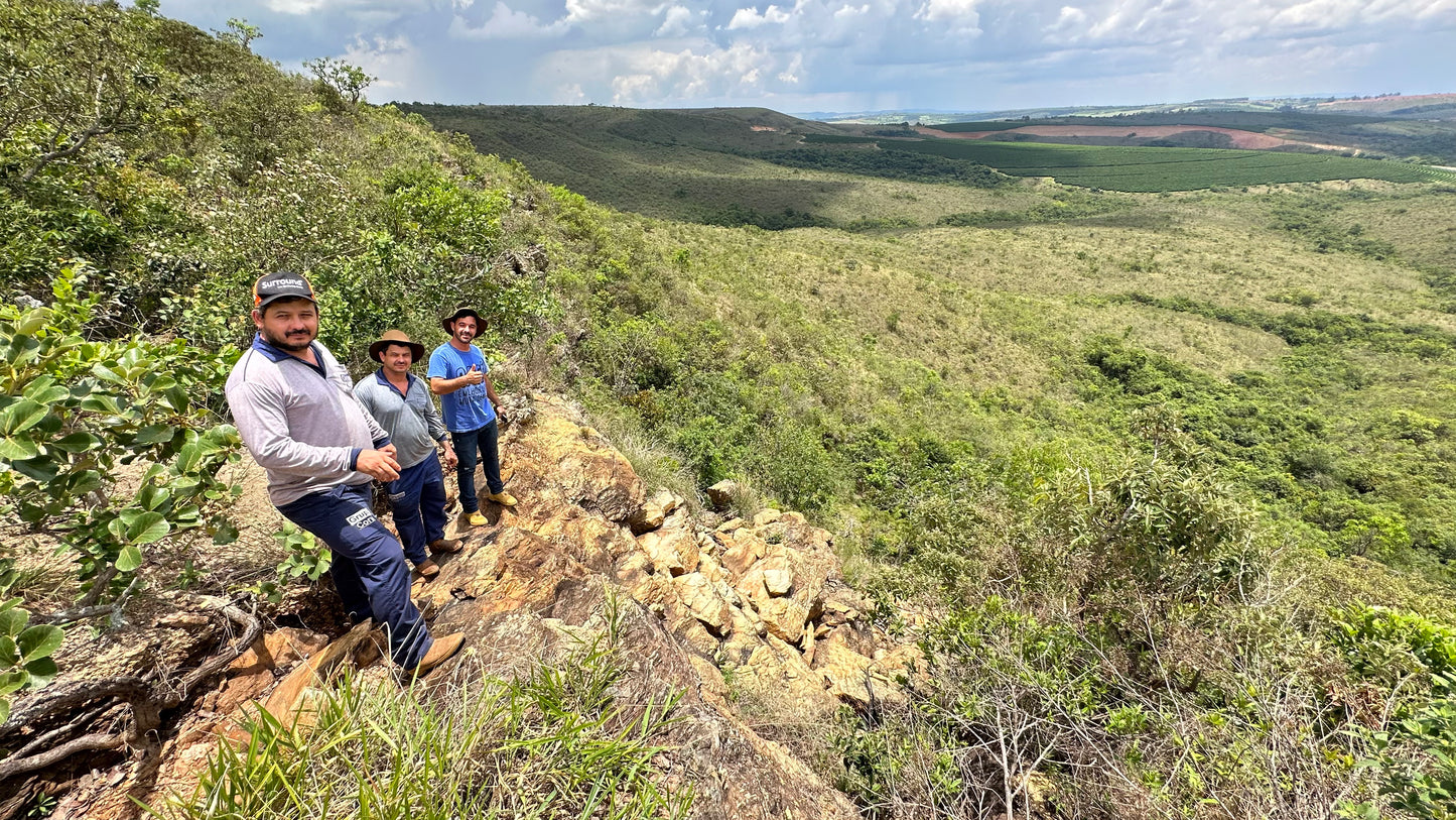 Brazil Cerrado Mineiro Rodomunho