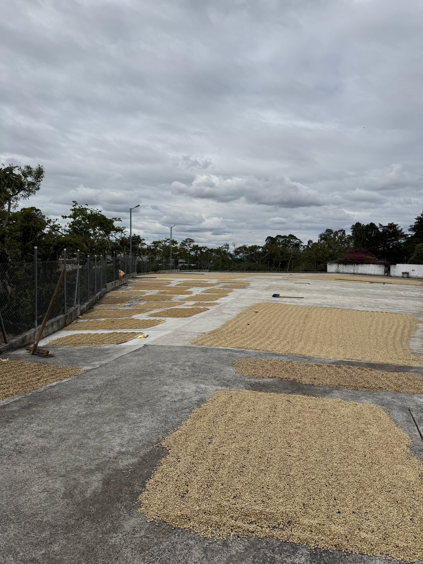 Guatemala Fraijanes Carlos Roldán