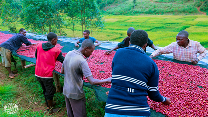 Burundi Muyinga Nguvu Community