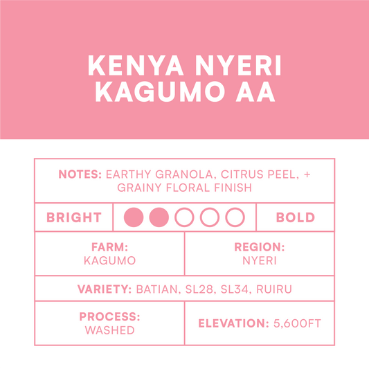 Kenya Nyeri Kagumo AA