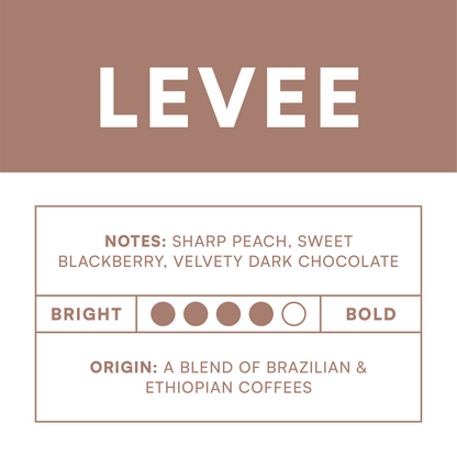 Levee