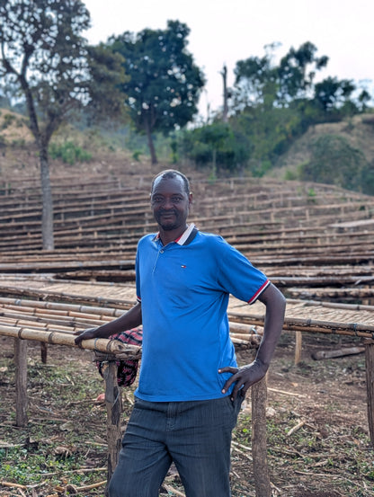 Ethiopia Sidamo Desta Meja