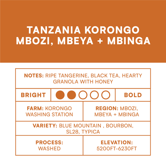 Tanzania Korongo Mbozi, Mbeya & Mbinga